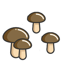 Fungus